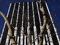 Verizon - 1
